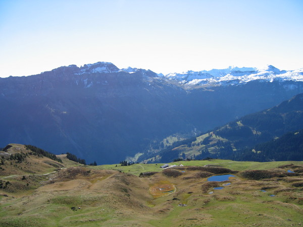 img 6897