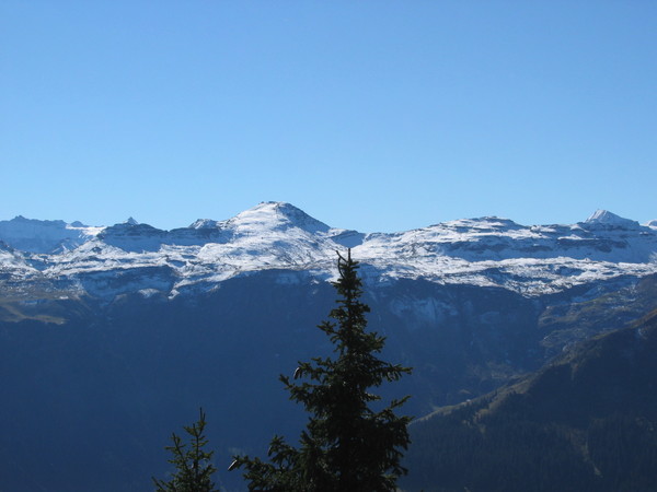 img 6899