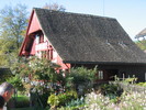img 6862