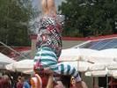 img 0998v