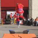IMG 4496v