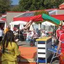 IMG 4512v