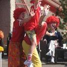 IMG 4527v