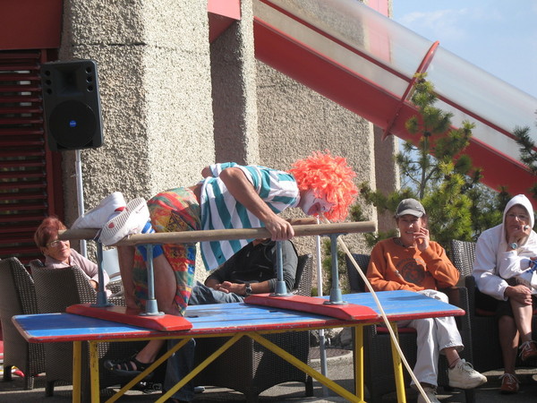 IMG 4528
