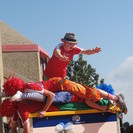 IMG 4535v
