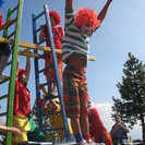 IMG 4557v