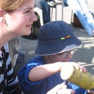 IMG 4594v