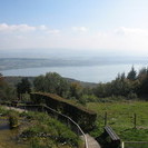 IMG 4597