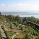 IMG 4598