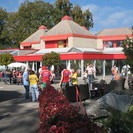 IMG 4599