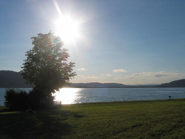 img 1122