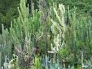 img 1169v