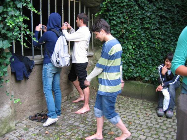 img 1184