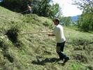 img 1329