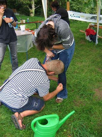 img 1420v