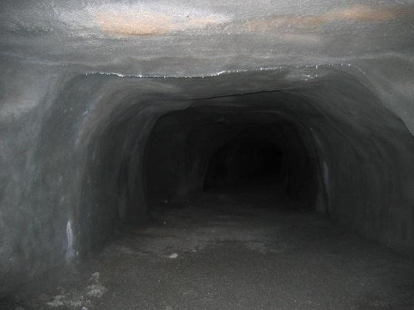 img 1763
