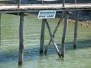img 1867v