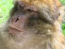 img 1887v