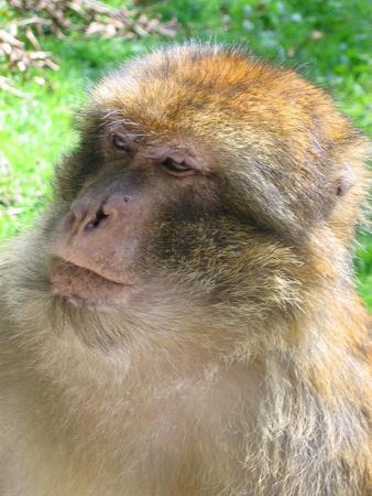 img 1887v