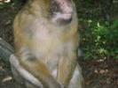 img 1894v