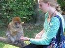 img 1903v