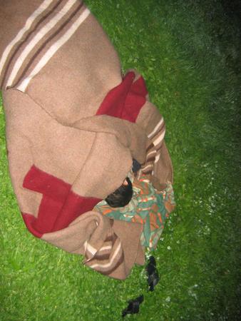 img 2317v