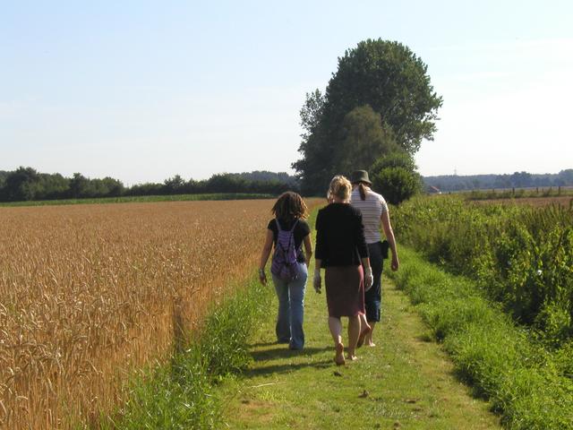 p7305746