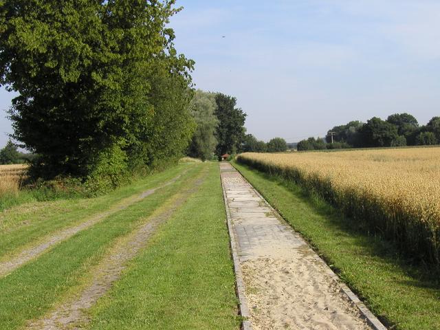 p7305756