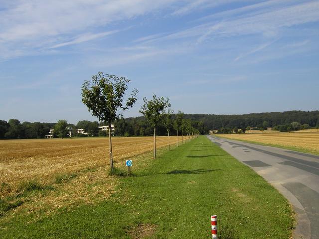 p7305779